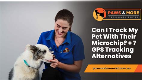 how to track a pet with microchip